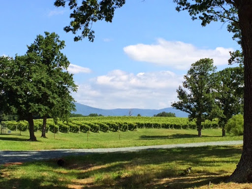 Winery «Grace Estate Winery», reviews and photos, 5273 Mt Juliet Farm, Crozet, VA 22932, USA