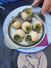 Plats et boissons du Restaurant français Le Bounty à Auxerre - n°5