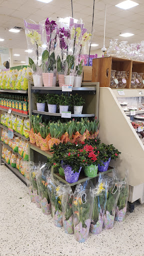 Supermarket «Publix Super Market at Parkway Plaza», reviews and photos, 5265 S John Young Pkwy, Orlando, FL 32839, USA