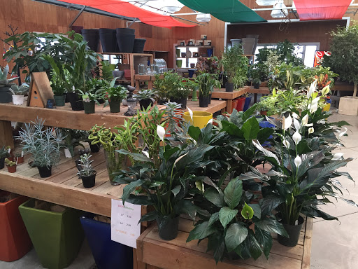 Florist «Shotwell Floral Greenhouses», reviews and photos, 4000 40th St S, Fargo, ND 58104, USA