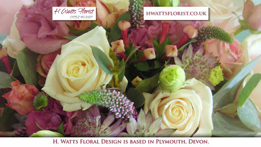 H Watts Florists