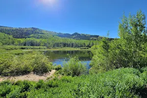 Willow Lake image