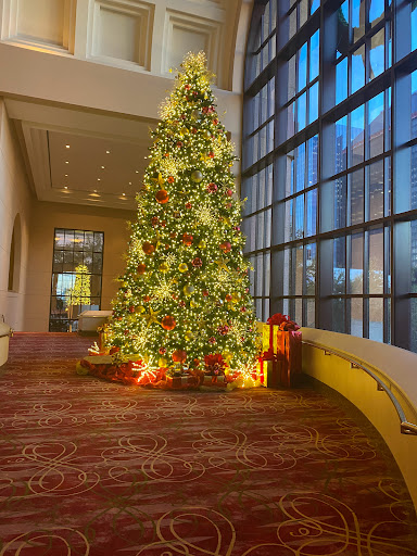 Performing Arts Theater «Wortham Theater Center», reviews and photos, 501 Texas Ave, Houston, TX 77002, USA