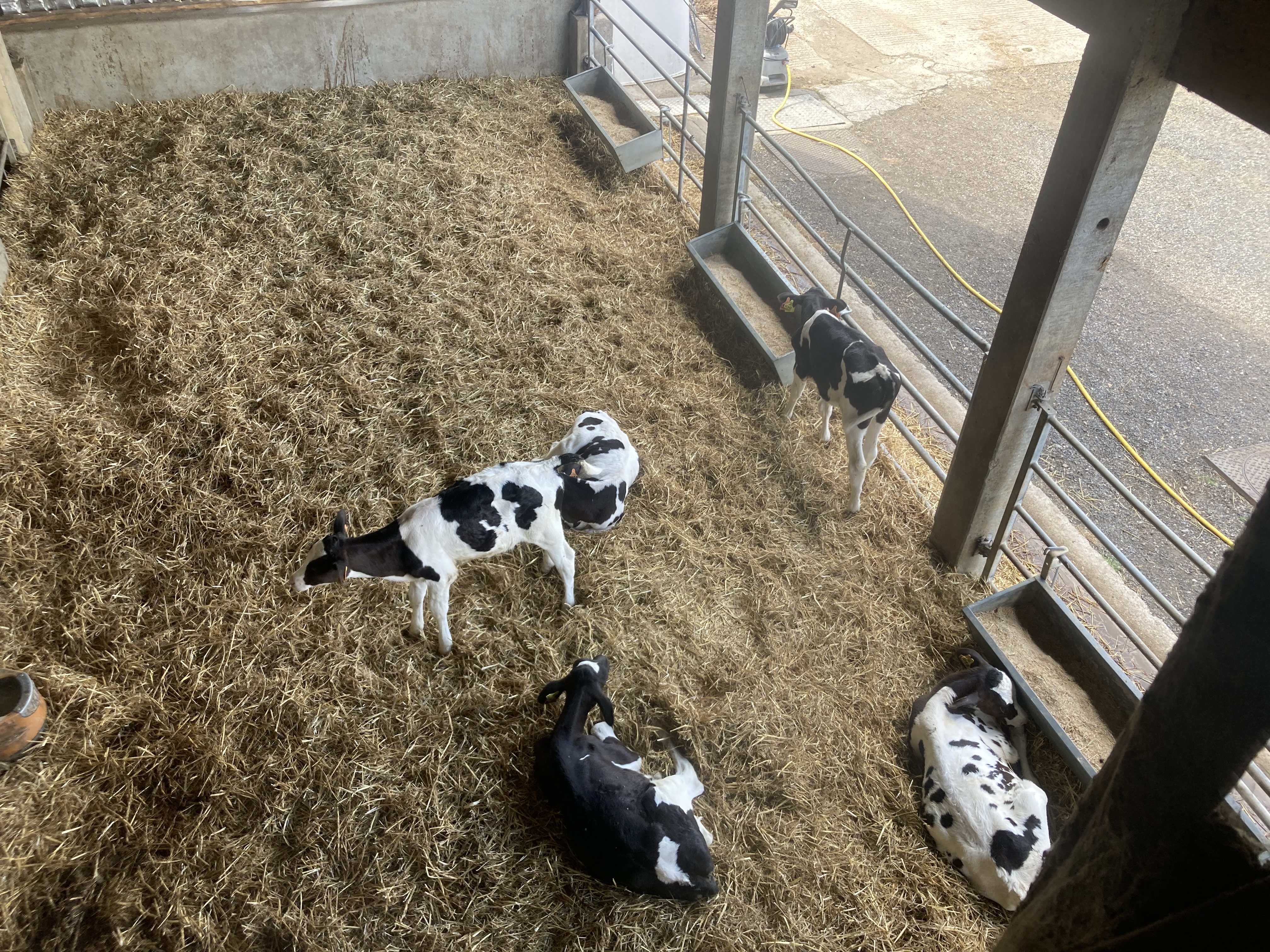 Photo n° 2 de l'avis de le.o fait le 29/05/2022 à 13:53