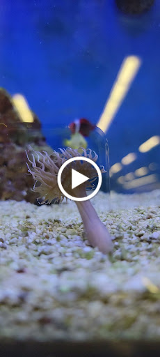 Pet Supply Store «Petco Animal Supplies», reviews and photos, 17200 Southcenter Pkwy #100, Tukwila, WA 98188, USA