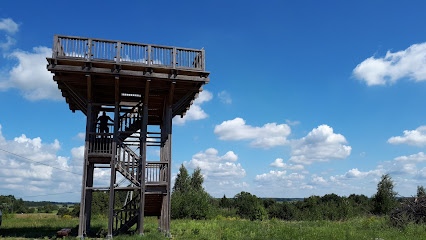 Šereiklaukio visuomeninis muziejus