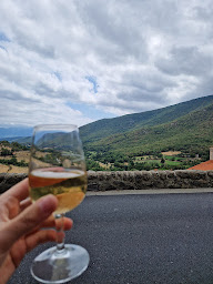 Photo n°48 de Restaurant de la Castellana à Mosset ()