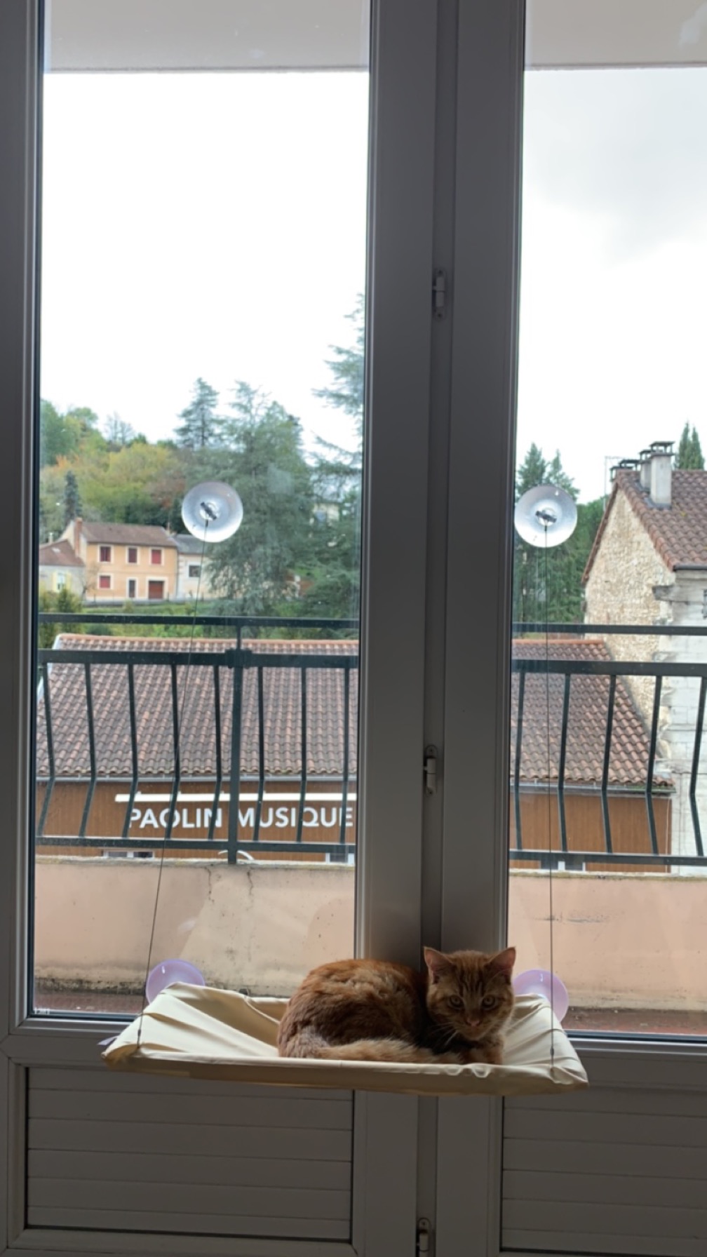 Photo n° 1 de l'avis de Pauline.A fait le 22/11/2023 à 11:54