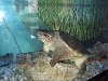 Croydon Creek Nature Center