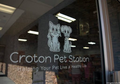Pet Supply Store «Croton Pet Station», reviews and photos, 420 S Riverside Ave, Croton-On-Hudson, NY 10520, USA