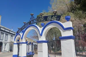 Municipal de Herencia Park image