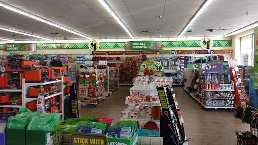 Dollar Store «Dollar Tree», reviews and photos, 1061 S York Rd, Bensenville, IL 60106, USA