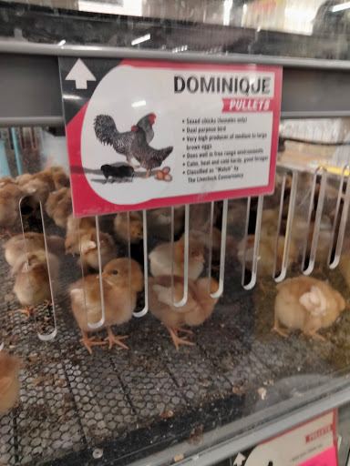 Home Improvement Store «Tractor Supply Co.», reviews and photos, 11946 Leslie Rd, Helotes, TX 78023, USA