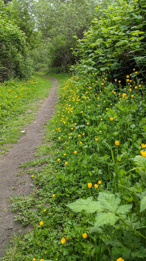 Park «Waterworks Gardens», reviews and photos, Oakesdale Ave SW, Renton, WA 98057, USA