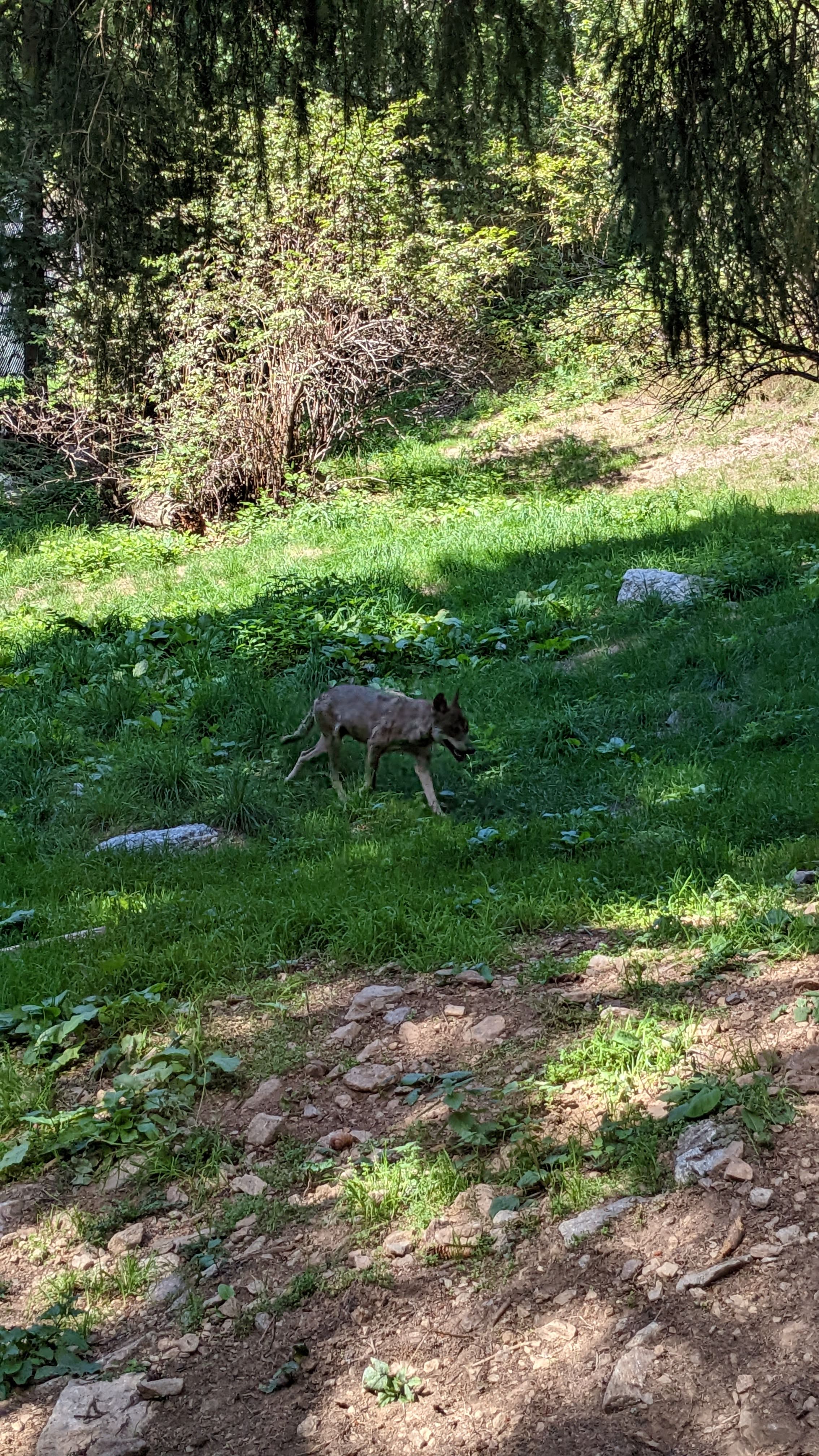 Photo n° 19 de l'avis de Florian.o fait le 11/09/2022 à 15:52