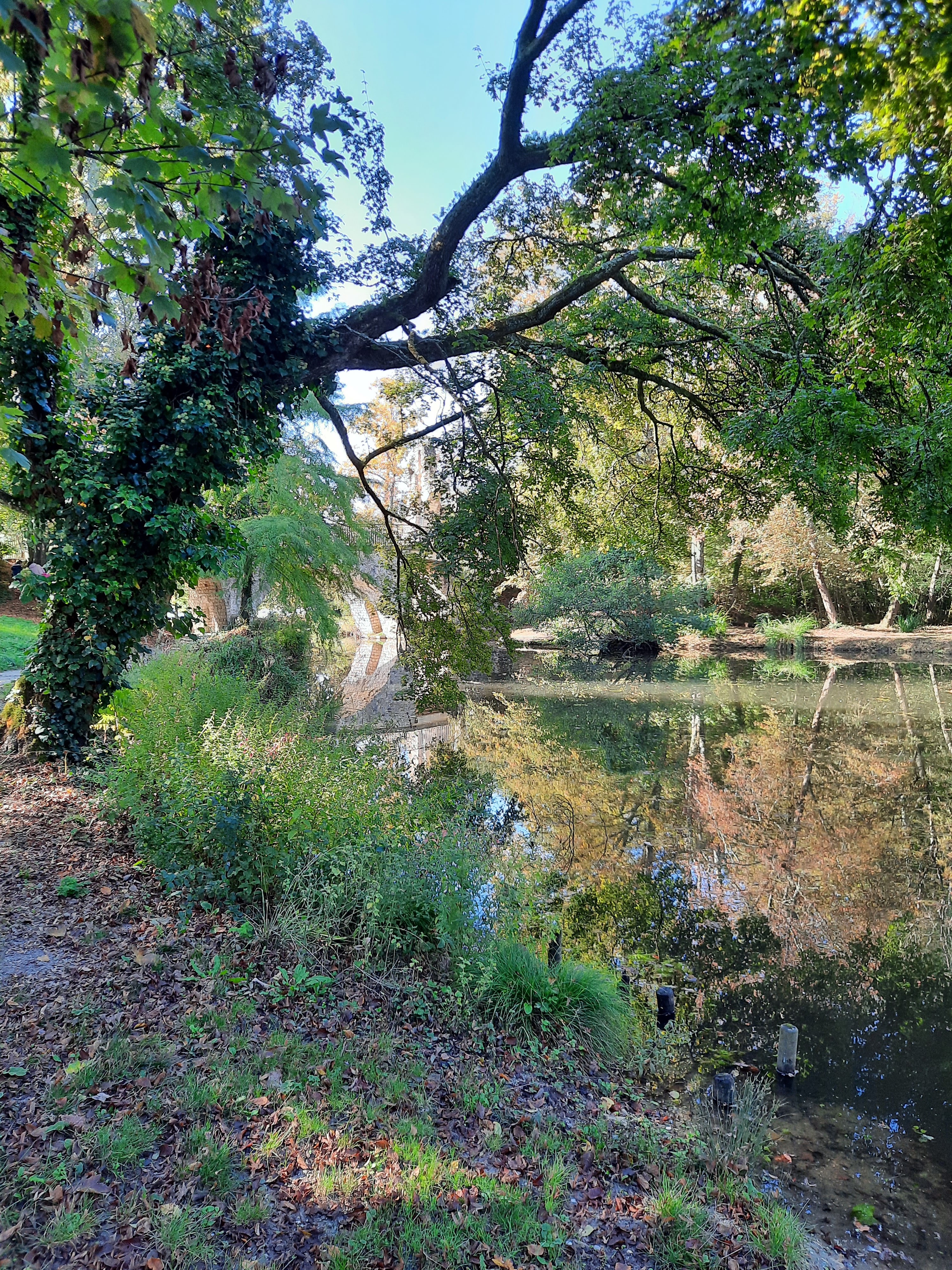 Photo n° 5 de l'avis de teixeira.a fait le 16/10/2021 à 21:10