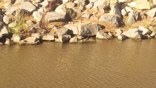 Maritime Museum «Arkansas Inland Maritime Museum», reviews and photos, 120 Riverfront Park Dr, North Little Rock, AR 72114, USA