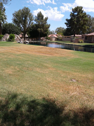 Country Club «Indian Palms Country Club & Resort», reviews and photos, 48630 Monroe St, Indio, CA 92201, USA