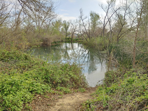 Chino Creek Wetlands and Educational Park