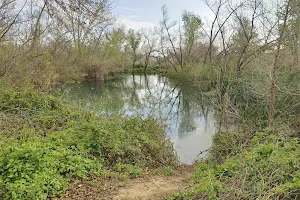 Chino Creek Wetlands and Educational Park image