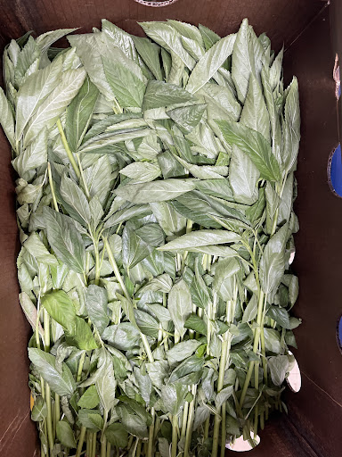 Grocery Store «Mt Everest Grocery LLC», reviews and photos, 6835 Loch Raven Blvd, Baltimore, MD 21286, USA