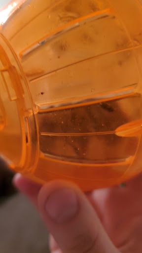 Pet Supply Store «Petco Animal Supplies», reviews and photos, 2784 W Peoria Ave, Phoenix, AZ 85029, USA