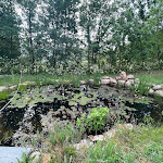 Photo n°4 de l'avis de Martina.o fait le 28/05/2023 à 19:44 sur le  Bio Agriturismo Tenuta Antica à Cessole