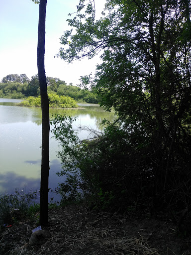 Park «Tukwila Pond Park», reviews and photos, 299 Strander Blvd, Tukwila, WA 98188, USA