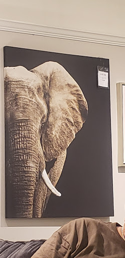 Furniture Store «Ashley HomeStore», reviews and photos, 2028 MacArthur Rd, Whitehall, PA 18052, USA