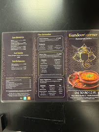 Les plus récentes photos du Restaurant indien Tandoori Corner à Annemasse - n°2