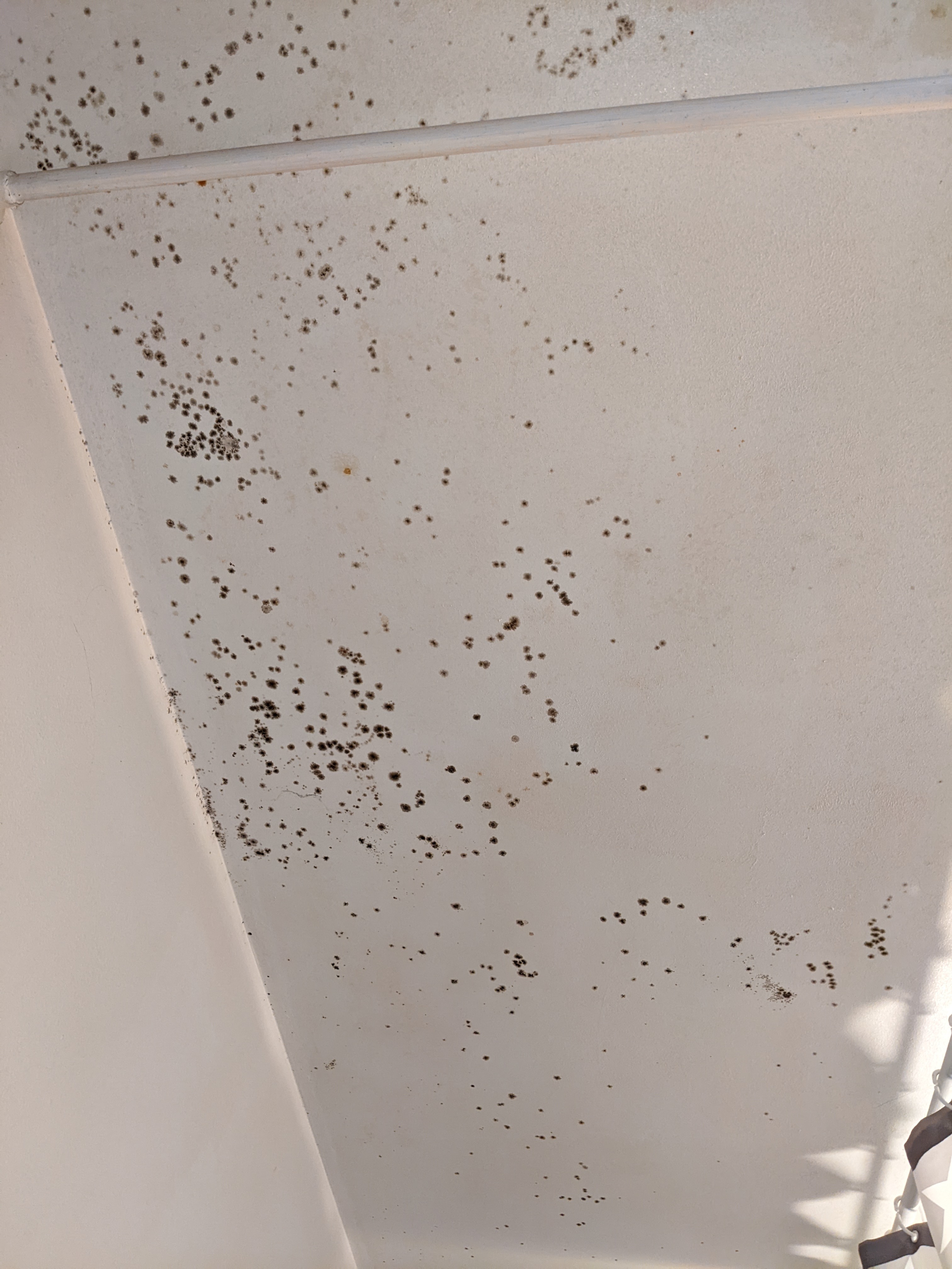 Photo n° 5 de l'avis de Frédérique.e fait le 19/09/2023 à 10:28