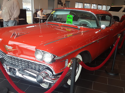 Car Dealer «Cadillac of Novi», reviews and photos, 41350 Grand River Ave, Novi, MI 48375, USA