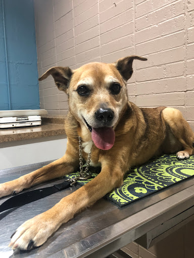 3736 Monroe Rd, Charlotte, NC 28205, USA