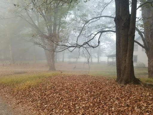 Nature Preserve «The New Weis Center for Education, Arts & Recreation», reviews and photos, 150 Snake Den Rd, Ringwood, NJ 07456, USA