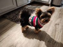 Pampered Pooch Bakery & Salon - Photo 9 - Car repair in Altoona, IA, Des Moines