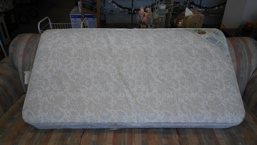 Home Goods Store «Paws & Claws Thrift Store», reviews and photos, 132 E Broad St, Groveland, FL 34736, USA