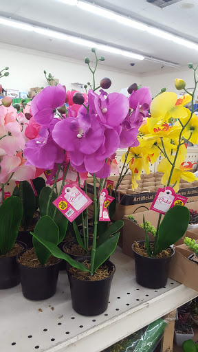 Shopping Mall «Bell Shopping Center», reviews and photos, 5029 E Florence Ave, Bell, CA 90201, USA