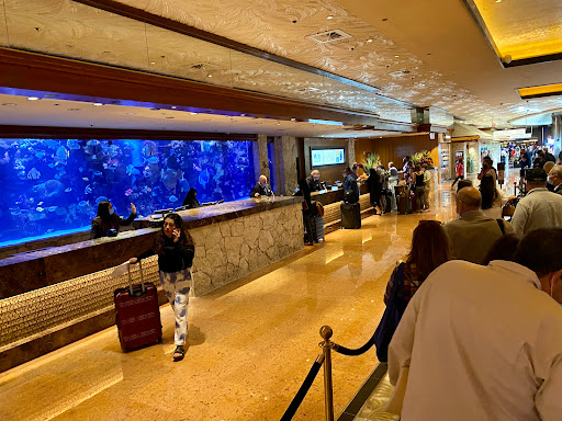 Hotel «The Mirage», reviews and photos, 3400 S Las Vegas Blvd, Las Vegas, NV 89109, USA