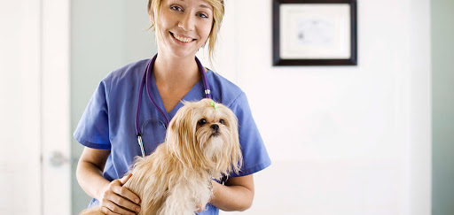 Springfield Animal Hospital image