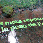 Photo n° 3 de l'avis de Cedric.r fait le 14/08/2019 à 16:43 pour Le Vallon du Villaret à Mont Lozère et Goulet