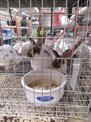 Department Store «Rural King», reviews and photos, 1800 S Ohio St, Martinsville, IN 46151, USA