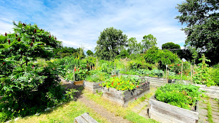 Strathcona Community Garden