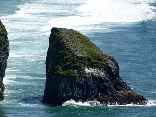 Tourist Attraction «Sea Lion Caves», reviews and photos, 91560 US-101, Florence, OR 97439, USA