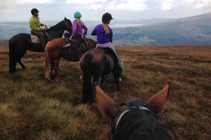 Hollywood Horse And Pony Trekking image