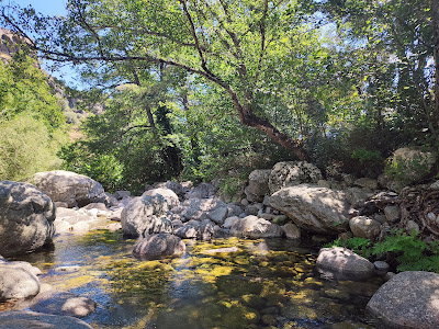 Vallee Restonica à Corte