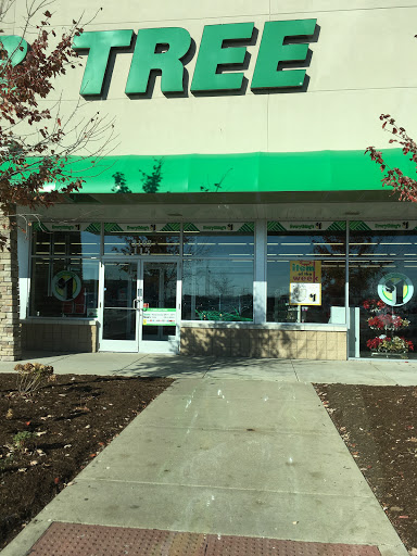 Dollar Store «Dollar Tree», reviews and photos, 3103 111th St #115, Naperville, IL 60564, USA