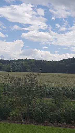 Hardware Store «Ace Hardware Mills River», reviews and photos, 3340 Boylston Hwy, Mills River, NC 28759, USA