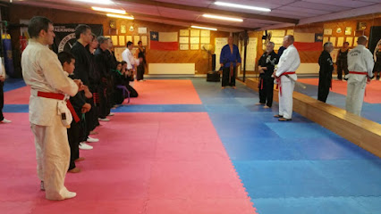 Escuela Kenpo Karate Juan Restovic - Estadio Croata