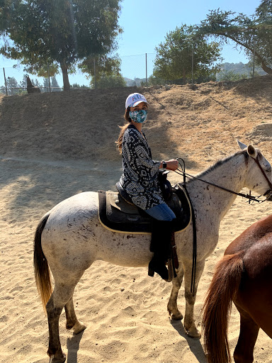 Horse riding school Glendale