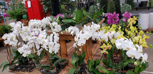 Florist «Metropolitan Plant & Flower Exchange Inc.», reviews and photos, 2125 Fletcher Ave, Fort Lee, NJ 07024, USA